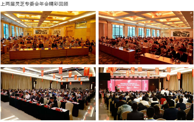 中药协会918博天娱乐官网专委会年会