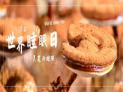 世界睡眠日：918博天娱乐官网具有改善睡眠作用